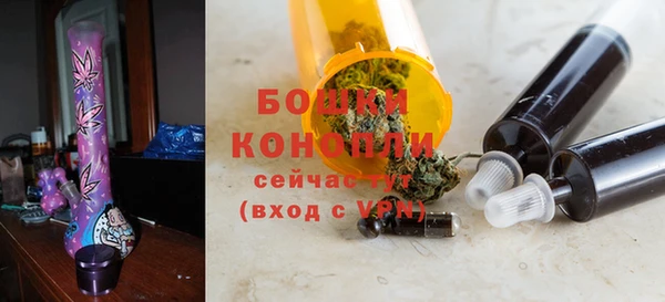 гашик Арсеньев