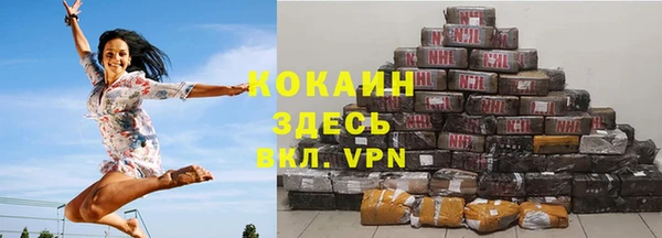 гашик Арсеньев