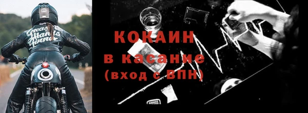 гашик Арсеньев