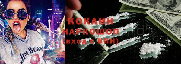 гашик Арсеньев