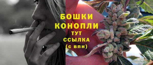 гашик Арсеньев