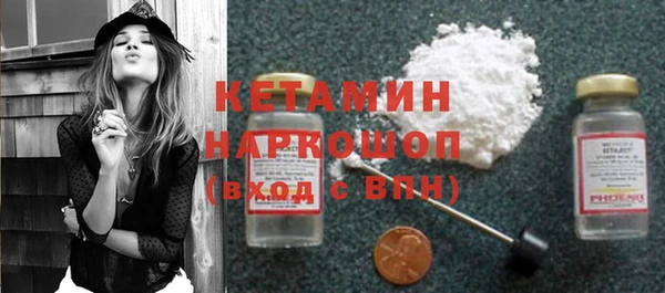 гашик Арсеньев