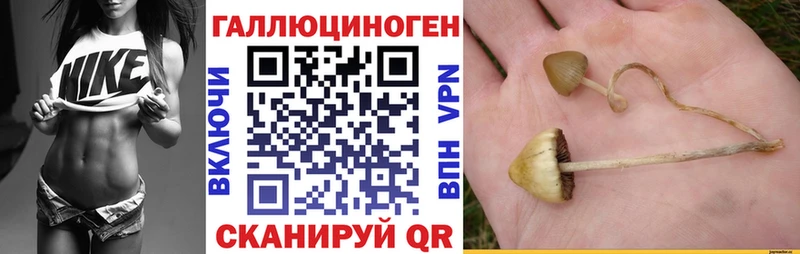 Галлюциногенные грибы Magic Shrooms  купить наркотик  Аркадак 